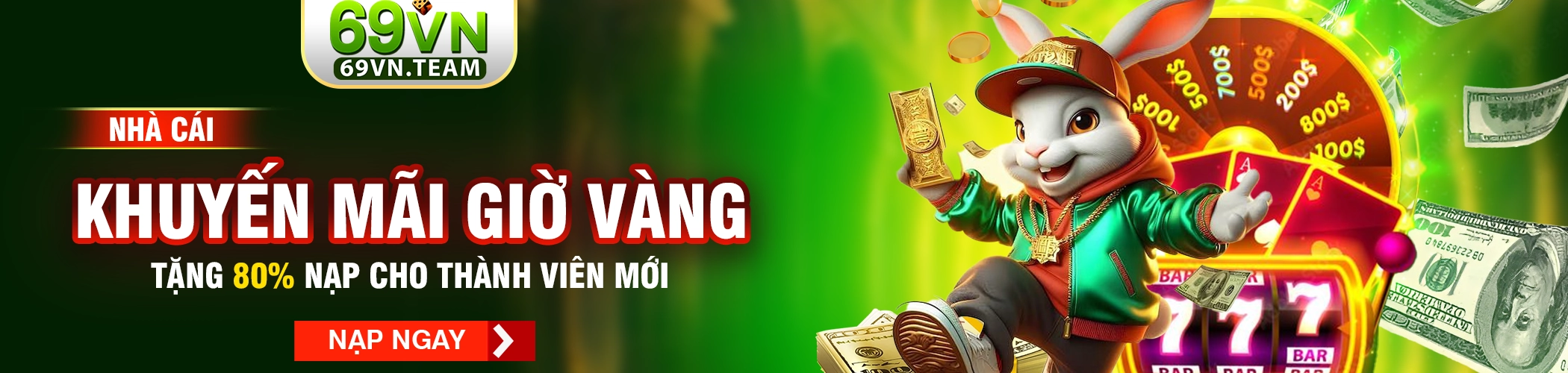 69VN 21 banner 69vn